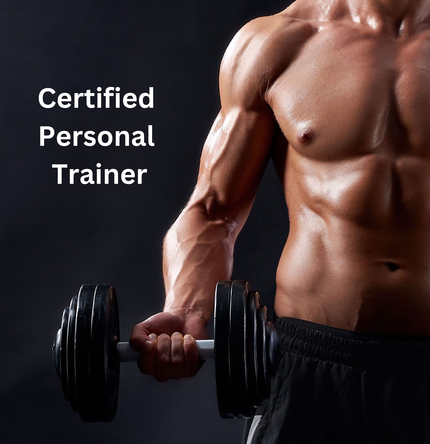 Top 3 Things Only Certified Personal Training Can Provide You!